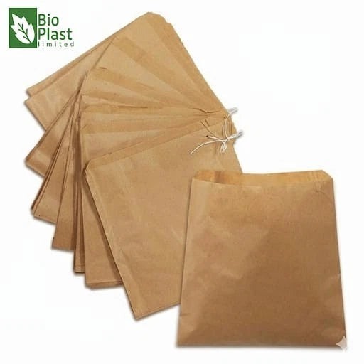Brown Kraft Strung Paper Bags Fruit Sweets Crafts Picnic Groceries  bioplastuk (1) Business